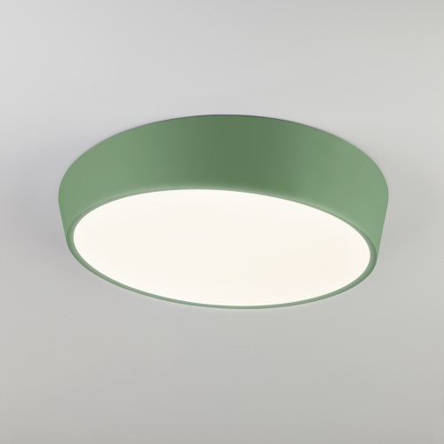 Потолочный светильник Eurosvet Visual 90113/1 зеленый