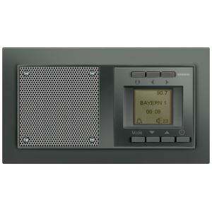 Встраиваемое радио Siemens Delta Miro Color черный металлик 5TC1062